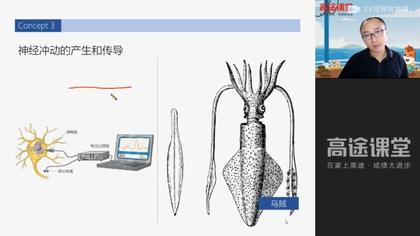 张继光2021【暑】高二生物暑假班，网盘下载(3.87G)