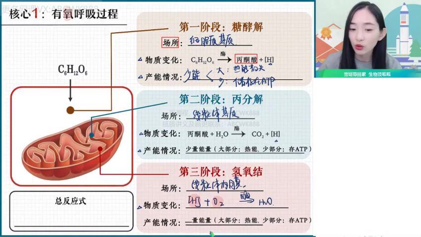 作业帮：【2022寒】高二生物尖端班杨雪，网盘下载(3.37G)