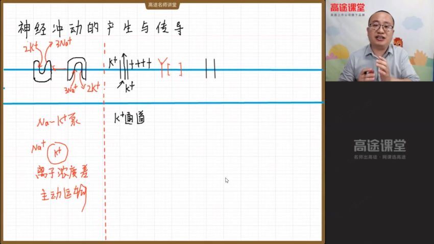 高二生物-徐京【暑假班】2021（完结），网盘下载(4.18G)