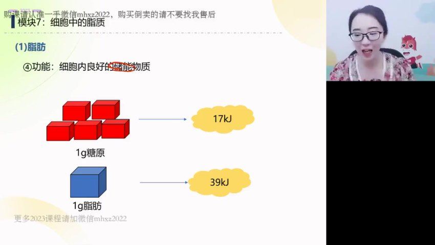 2023高徒高一生物马阳洋暑假班，网盘下载(1.85G)