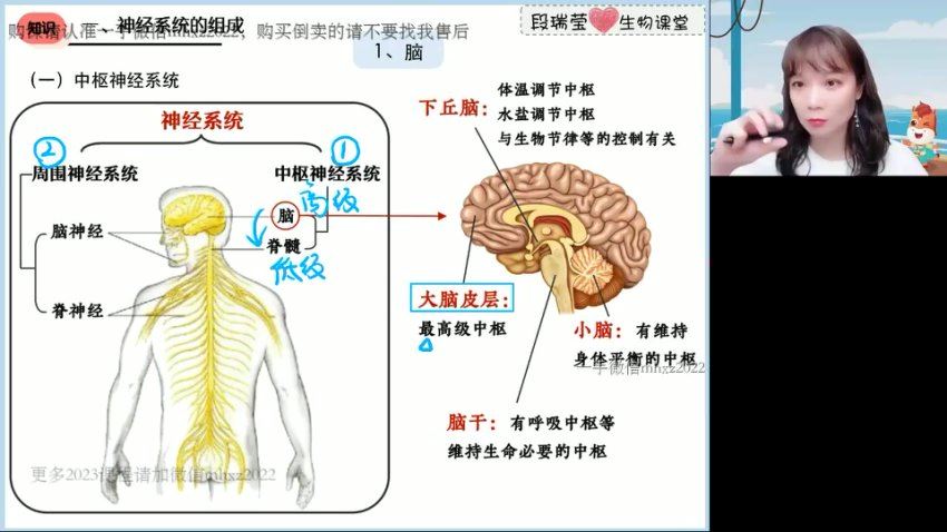 2023高徒高二生物段瑞莹暑假班，网盘下载(1.85G)