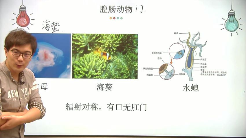 2018春季班双师8年级 丁省，网盘下载(11.27G)