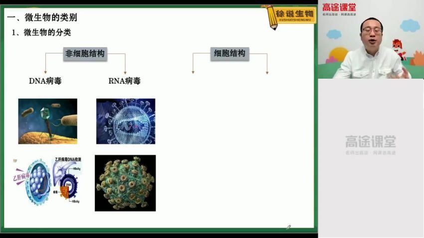 【2021寒】高二生物（徐京）【完结】，网盘下载(2.29G)