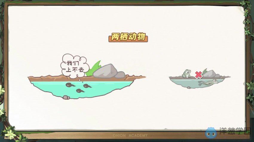 洋葱：2022初中生物【人教版】，网盘下载(3.08G)