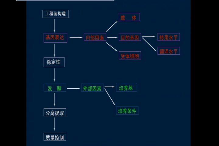 生物技术制药，沈阳药科大学，主讲：夏焕章 44讲，网盘下载(1.94G)