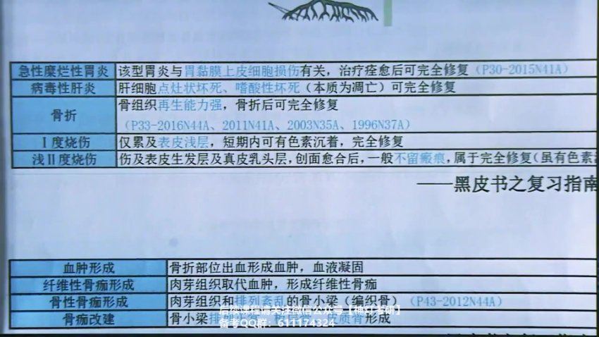 2024考研西综：【研大】全年班，网盘下载(405.52G)