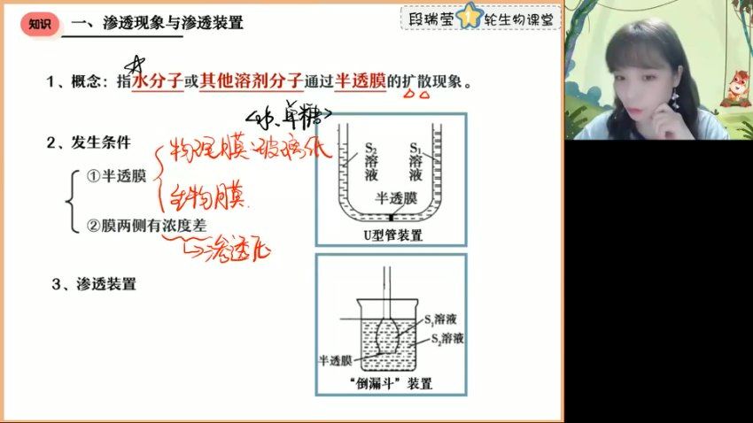2023高徒高三生物段瑞莹（箐英班）暑假班，网盘下载(3.00G)