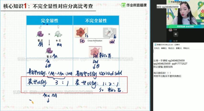 杨雪2021春季高一生物尖端班 (21.40G)，百度网盘