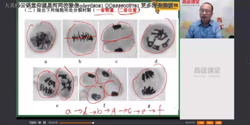 2021徐京生物一轮二轮衔接课，网盘下载(477.17M)