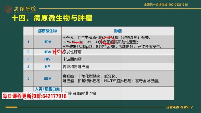 2024考研西综：【刘忠宝】西综冲刺押题班，网盘下载(1.26G)