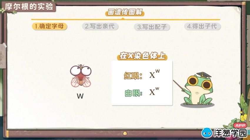 洋葱：高中生物-【人教版】，网盘下载(1.38G)
