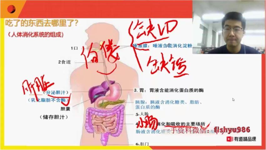 2021年有道孙佳佳生物五大模块全，网盘下载(35.94G)