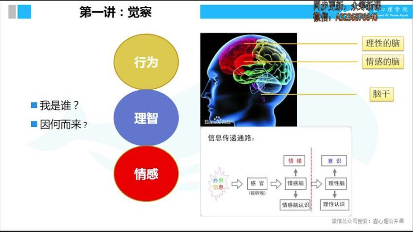 走出自卑怪圈自卑者心理指南，网盘下载(238.65M)