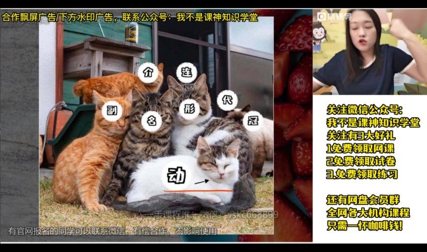 2023猿辅导（高一英语）暑假（崔妍），网盘下载(22.06G)