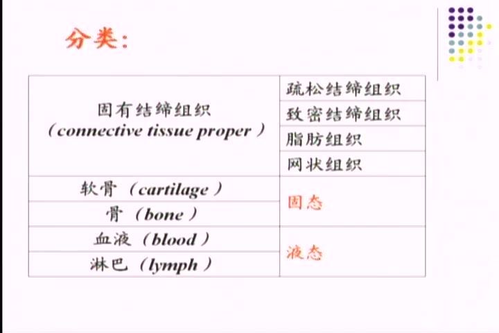 组织学与胚胎学，哈尔滨医科大学，主讲：金连弘 46讲，网盘下载(6.52G)