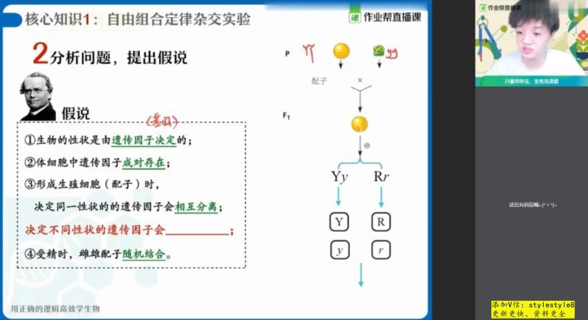 【2021春】高一生物尖端班（邓康尧）完结，网盘下载(4.62G)