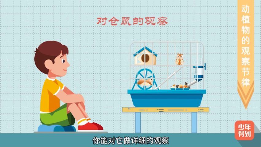 小学新教材作文通关日记周记 (1.18G)，百度网盘