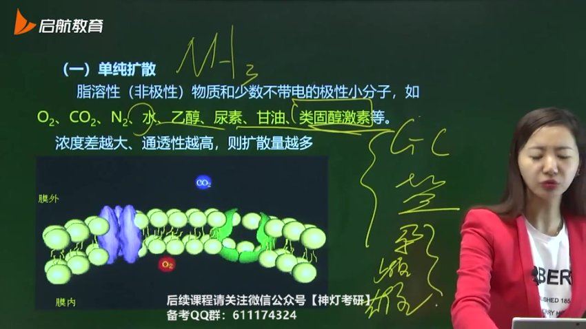 2024考研西综：【王琪然】专属vip班，网盘下载(99.42G)
