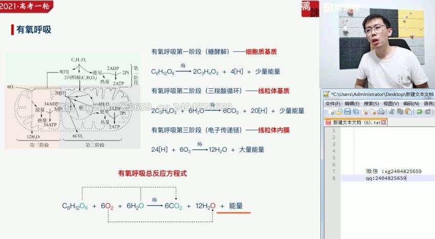 张鹏2021生物暑假班 (17.71G)，百度网盘