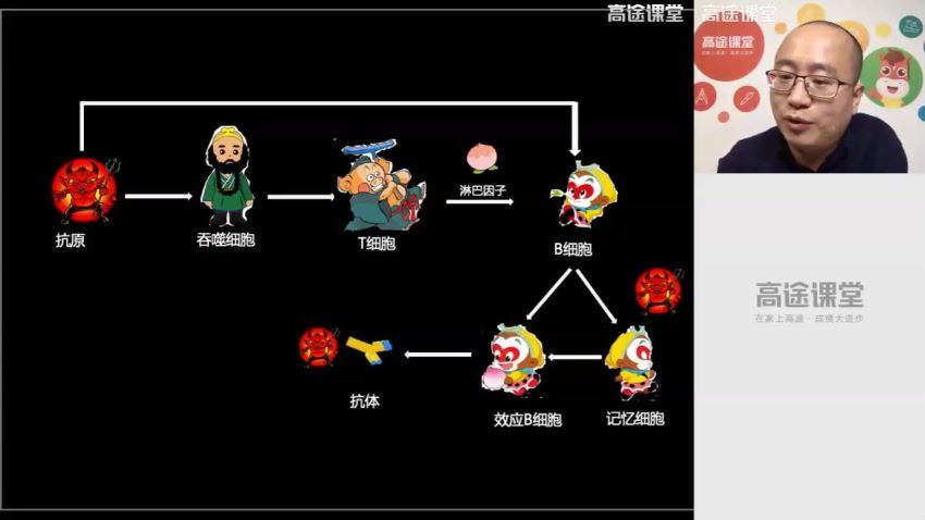 高途2020高二生物徐京秋季班（高清视频）