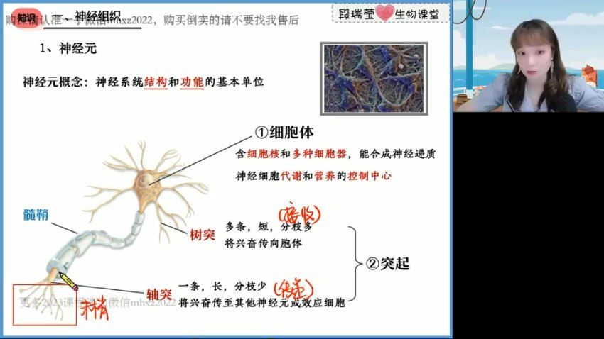 2023高徒高二生物段瑞莹秋季班，网盘下载(1.55G)