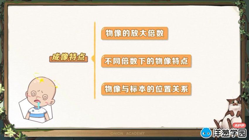 洋葱：小学自然3-6年级（通用版），网盘下载(2.62G)