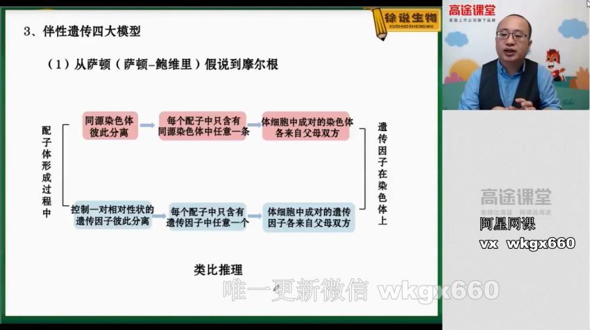 徐京2021生物一轮复习联报班，网盘下载(9.63G)