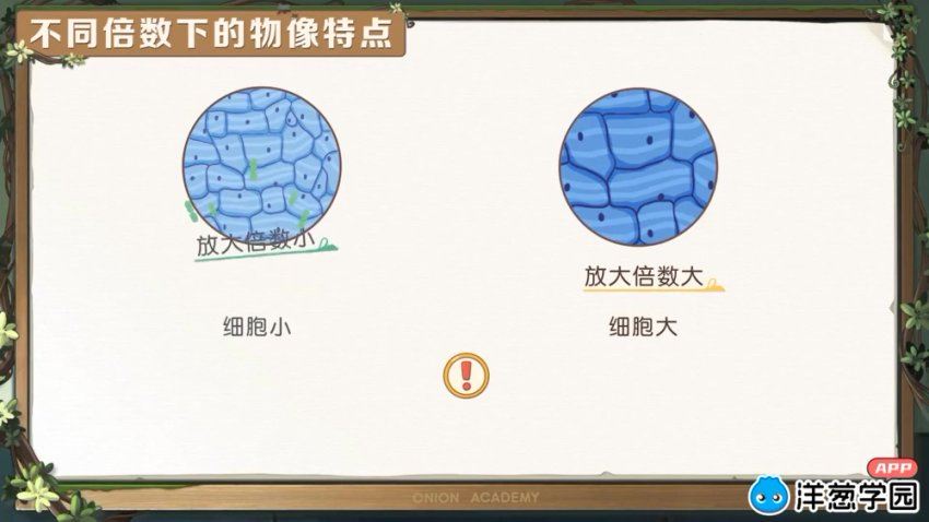 洋葱：小学自然3-6年级（通用版），网盘下载(2.62G)