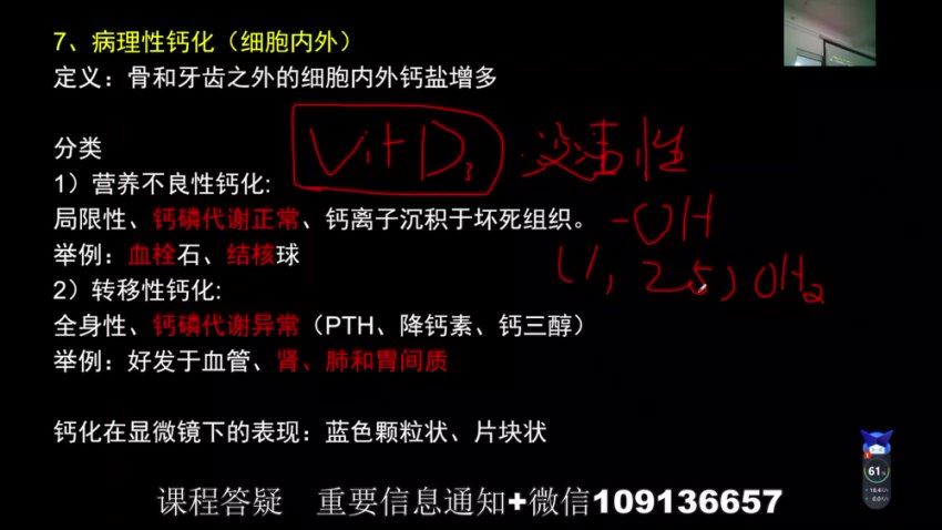 2024考研西综：【马威】西综，网盘下载(12.24G)