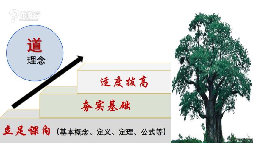 王乃向《图说数学》中级版-完整课，网盘下载(1.51G)