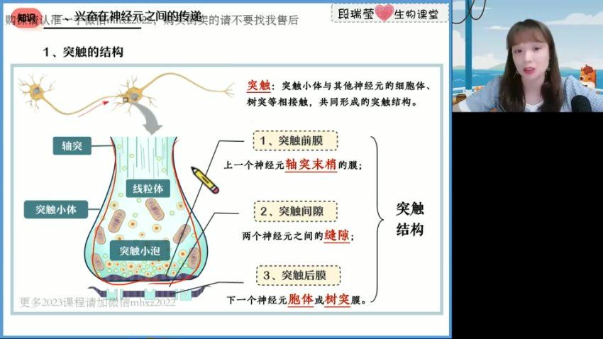 2023高徒高二生物段瑞莹秋季班，网盘下载(1.55G)