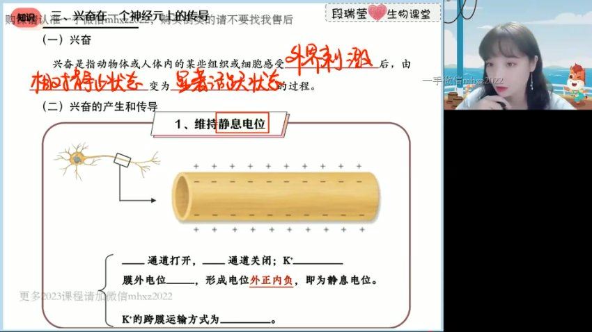 2023高徒高二生物段瑞莹暑假班，网盘下载(1.85G)