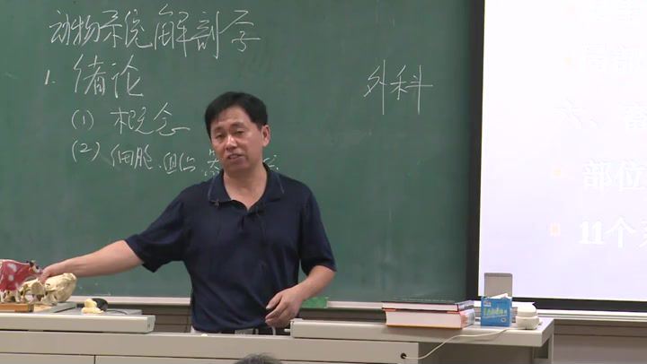 动物解剖学，中国农业大学，主讲：陈耀星 80讲，网盘下载(5.60G)