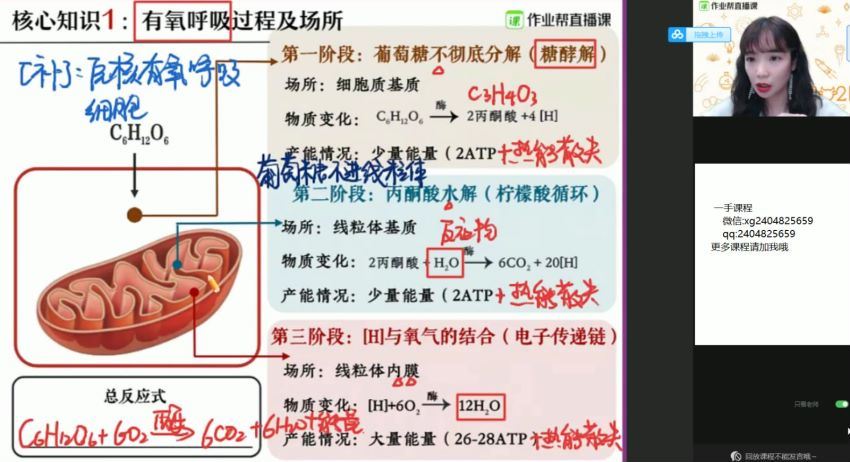 【2021寒】高二生物段瑞莹尖端【完结】，网盘下载(13.80G)