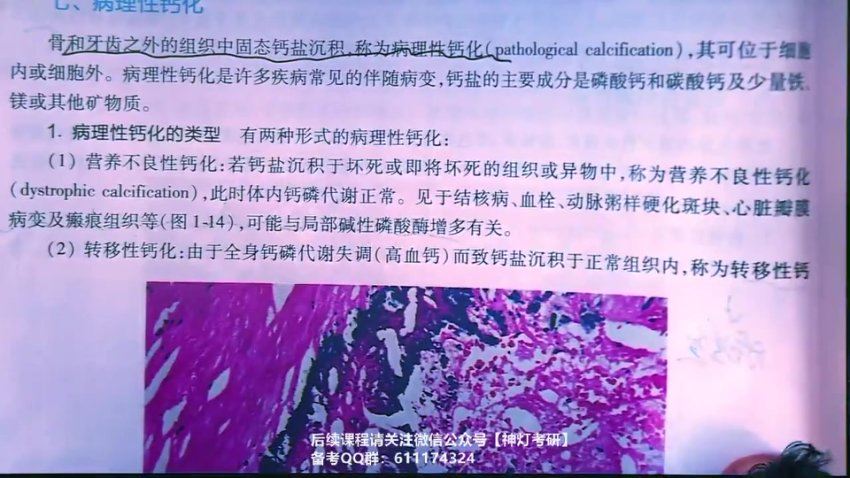 2024考研西综：【研大】全年班，网盘下载(405.52G)