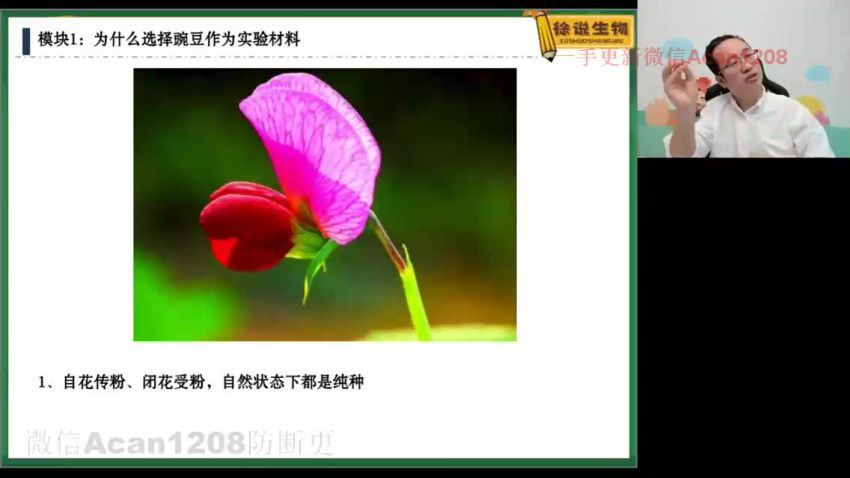 【2022寒】高一生物徐京，网盘下载(1.53G)