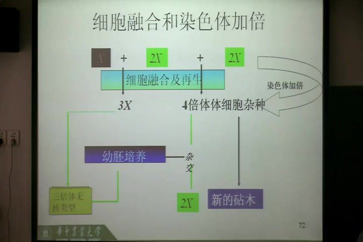 园艺植物生物技术，华中农业大学，主讲：刘继红 34讲，网盘下载(4.17G)