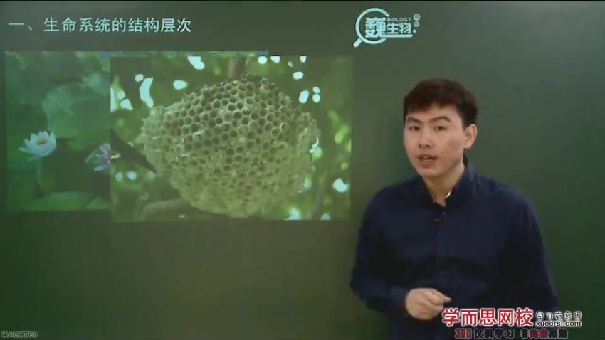 陆巍巍精华高中生物全套视频课程百度云网盘下载209讲 (50.01G)，百度网盘