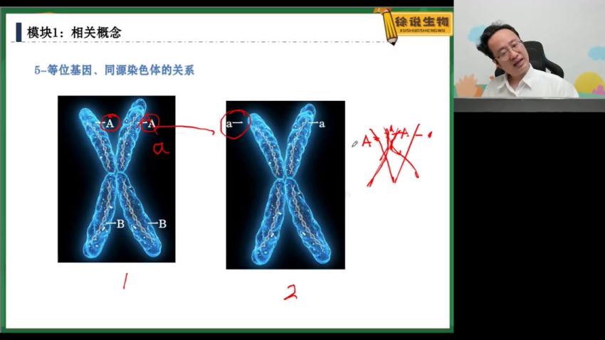 高途【22春】高一生物徐京，网盘下载(1.07G)