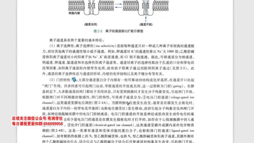 2024考研西综：【新东方】西综，网盘下载(254.17G)